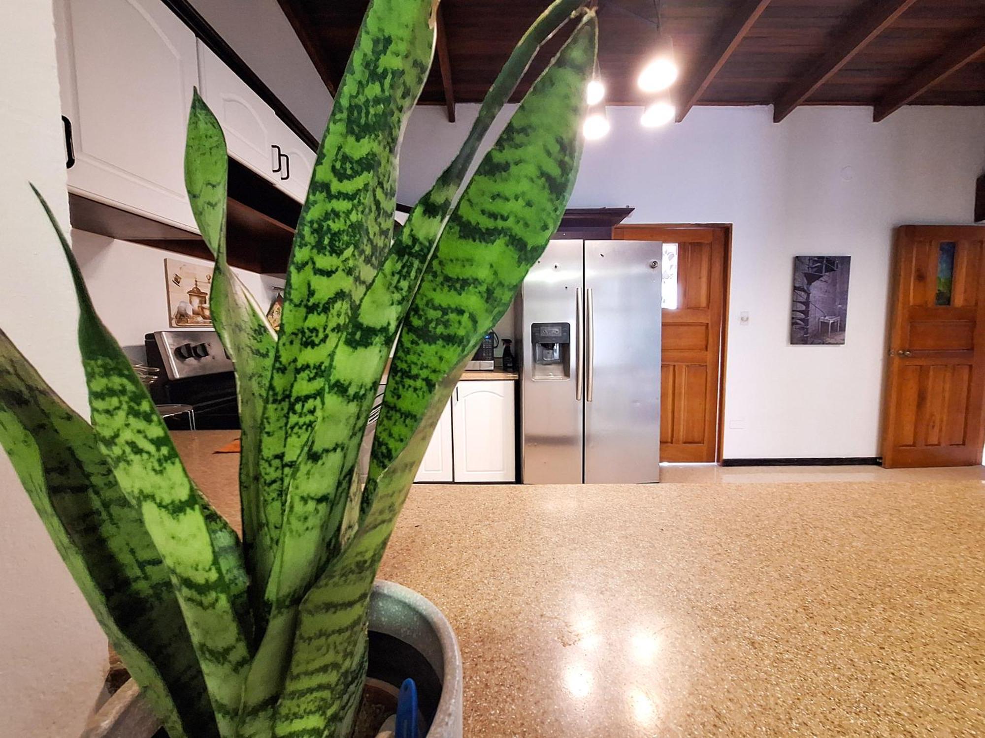 Jungla Urbana, Bnb Pavas Dış mekan fotoğraf